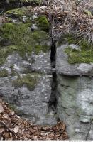 rock cliff overgrown moss 0008